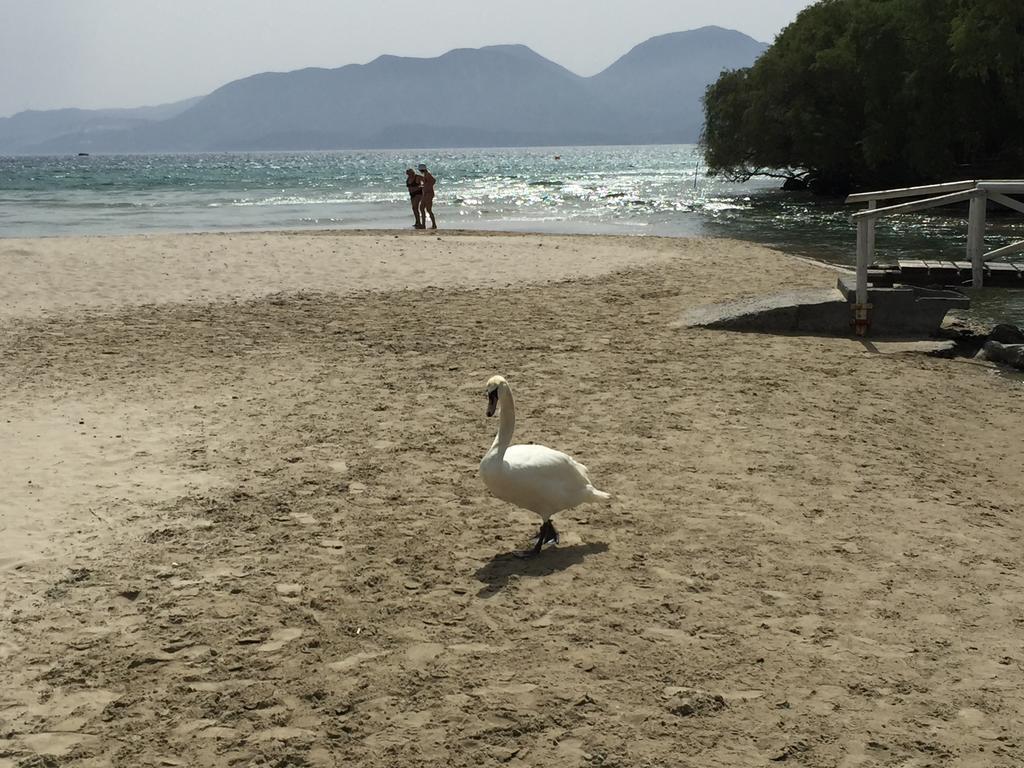 Naiades Almiros Beach Villa Ayos Nikolaos Dış mekan fotoğraf